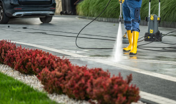 Best Dumpster Area Cleaning  in Endwell, NY